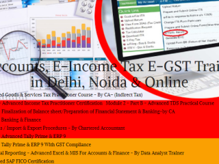 online-accounting-course-with-gst-certification-100-job-salary-upto-3-lpa-gst-sap-fico-training-certification-delhi